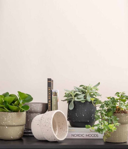 Plantenpot Speckles