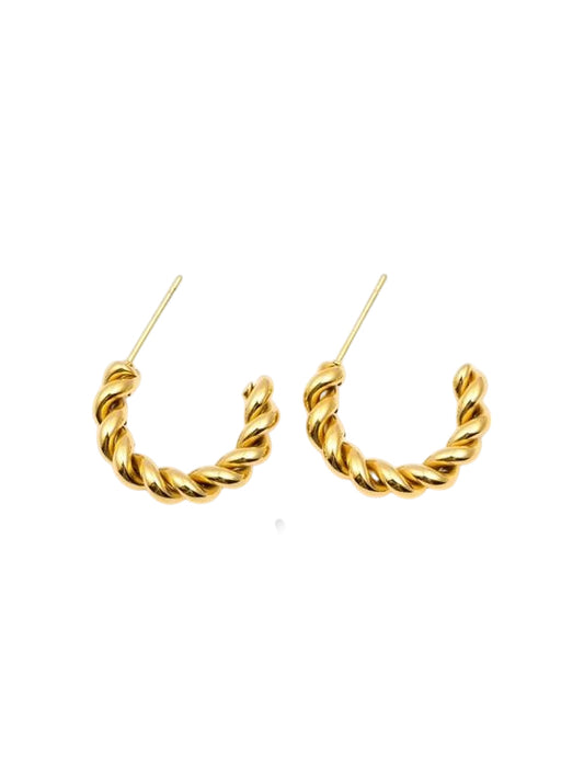 RVS Oorbellen Ringen Lino goud