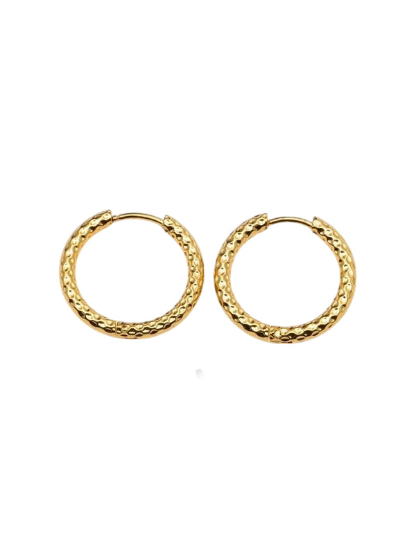 RVS Oorbellen Ringen Adriana goud
