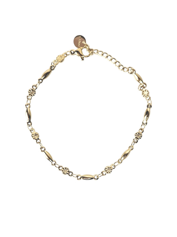 RVS Armband Lucky Charm goud