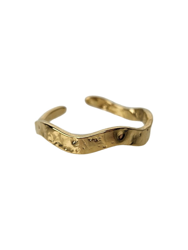 RVS Ring Rama goud