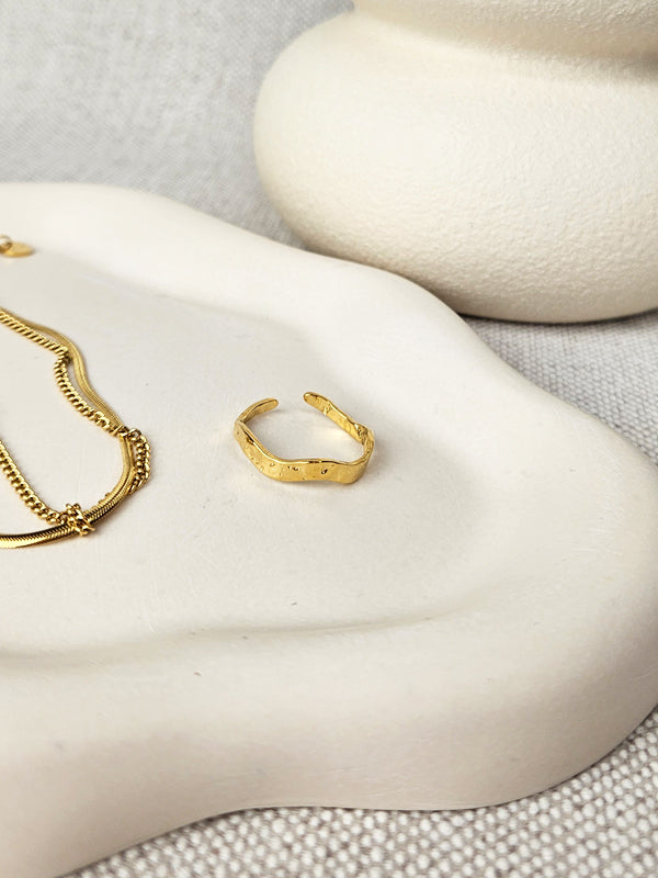 RVS Ring Rama goud