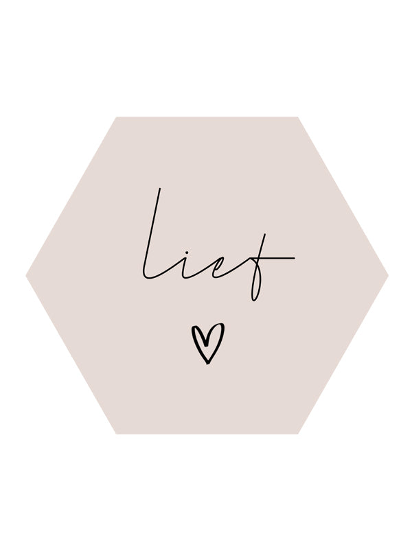 Just4You Forex bord hexagon "Lief"