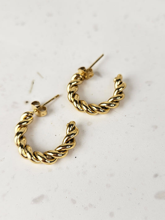 RVS Oorbellen Ringen Lino goud