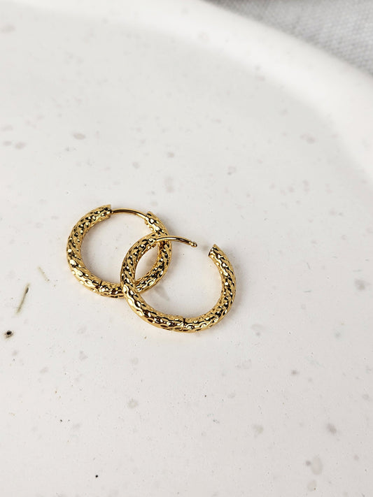 RVS Oorbellen Ringen Adriana goud