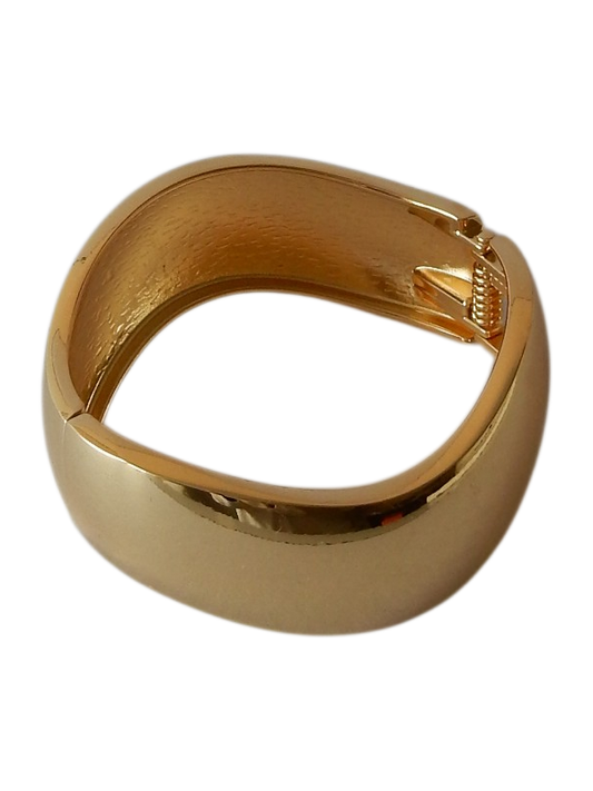 RVS Statement Armband Kani - Goud