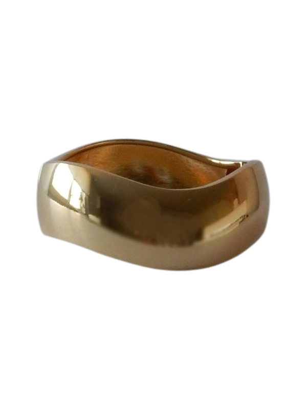 RVS Statement Armband Kani - Goud